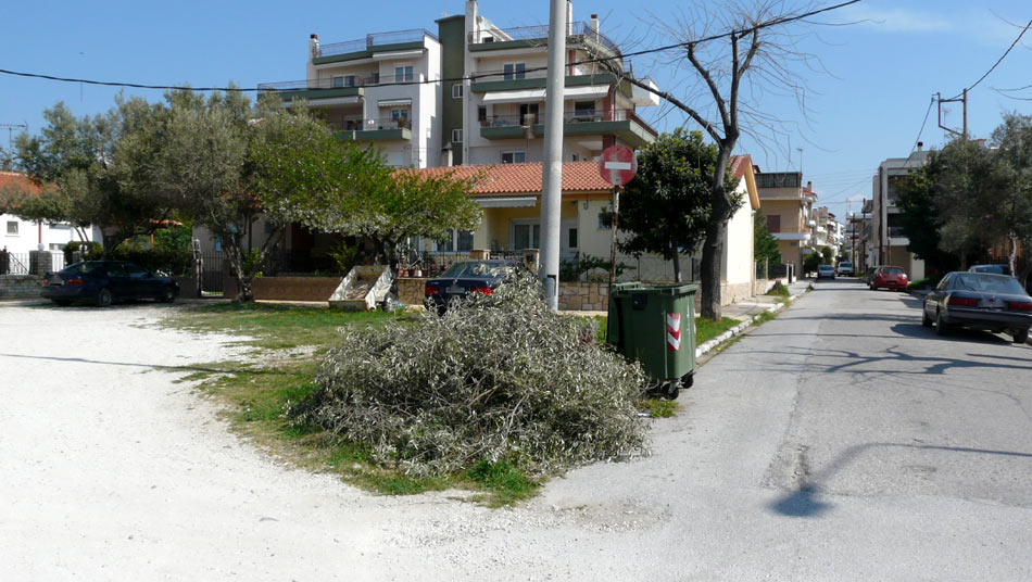 ΕΚΟΨΕ ΤΗΝ ΕΛΙΑ ΕΠΕΙΔΗ …ΤΟΝ ΕΜΠΟΔΙΖΕ!