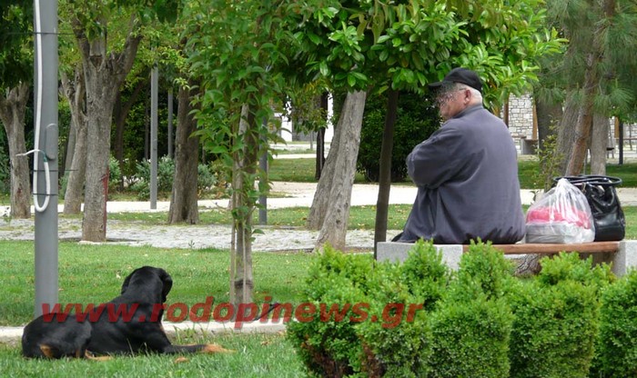 Τρεις στους τέσσερις Έλληνες ψηφίζουν ΝΑΙ στο Ευρώ