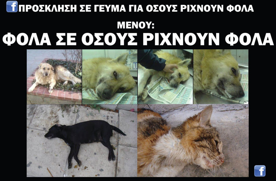 Φόλες σε χωριά της Κομοτηνής με έναν νεκρό σκύλο – Αμεση αντίδραση της Φιλοζωικής Κομοτηνής