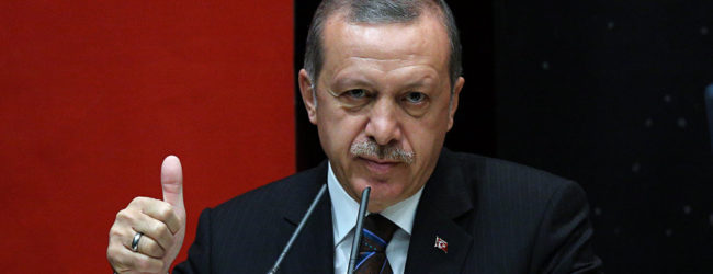 ΤΑΓΙΠ ΕΡΝΤΟΓΑΝ: ΕΙΜΑΙ ΑΠΟΦΑΣΙΣΜΕΝΟΣ ΝΑ ΠΡΟΧΩΡΗΣΩ ΤΗΝ ΤΟΥΡΚΙΑ ΠΙΟ ΠΕΡΑ