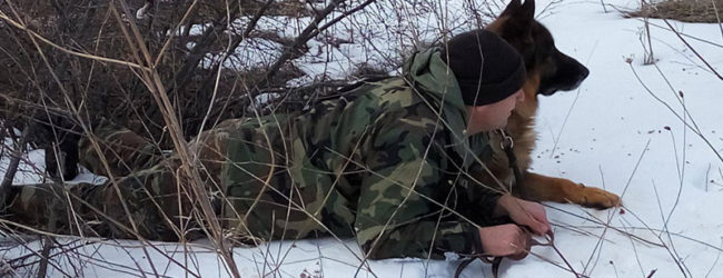 ΟΙ ΣΚΥΛΟΙ – ΚΟΜΑΝΤΟ ΣΕ ΑΣΚΗΣΗ ΣΤΑ ΧΙΟΝΙΣΜΕΝΑ ΒΟΥΝΑ ΤΗΣ ΘΡΑΚΗΣ